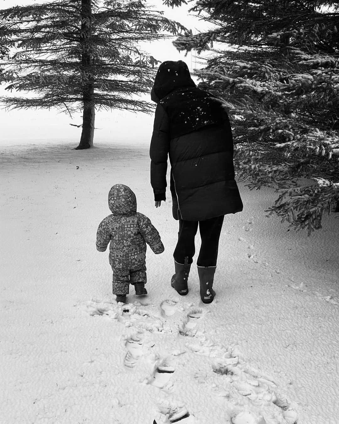 エミリー・ヴァンキャンプのインスタグラム：「Snow storm walk with my little adventurer. Life is good 🤍」