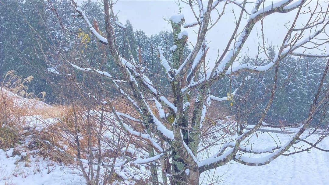 河西洋介さんのインスタグラム写真 - (河西洋介Instagram)12月17日 0時29分 - yosuke_kasai