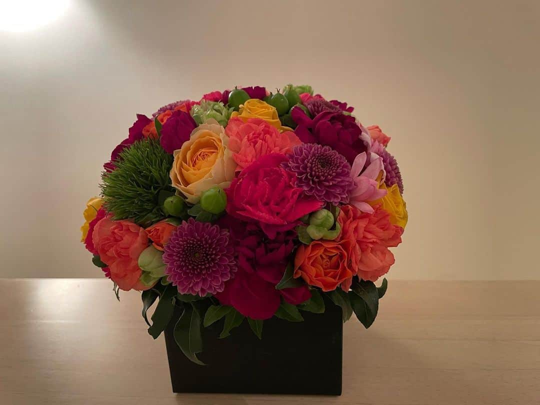 島本真衣さんのインスタグラム写真 - (島本真衣Instagram)「素敵なお花をいただきました。 じっと見ていたくなる美しさです♪ 明日も素敵な1日になりますように⭐︎  #花 #アレンジメント #ありがとうございます #感謝 #島本真衣」12月17日 0時16分 - mai_shimamoto_ex