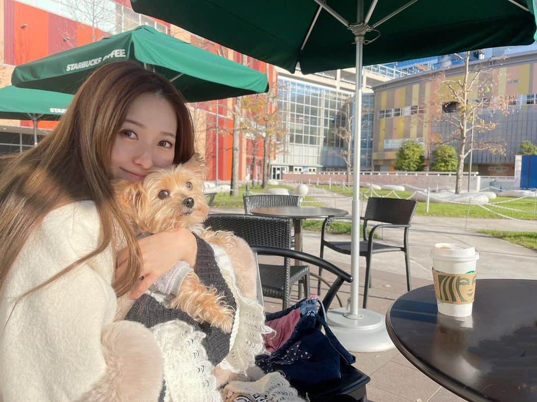 黒澤ゆりかのインスタグラム：「のどかな休日☀️ 朝から本当にまったり過ごせた日。　  ティコちゃん最近ここお気に入りでご機嫌♪ 日向ぼっこして、ずっとトローンってしてました笑 私もトローンとしてました😂笑 なので髪の毛ボサボサなのは許してね😂笑  引越し準備でお家ダンボールだらけなので気分転換になりました♪  あとちょっとだから断捨離含めて頑張るー😂  みんなもあと少ししたら大掃除かな？？」