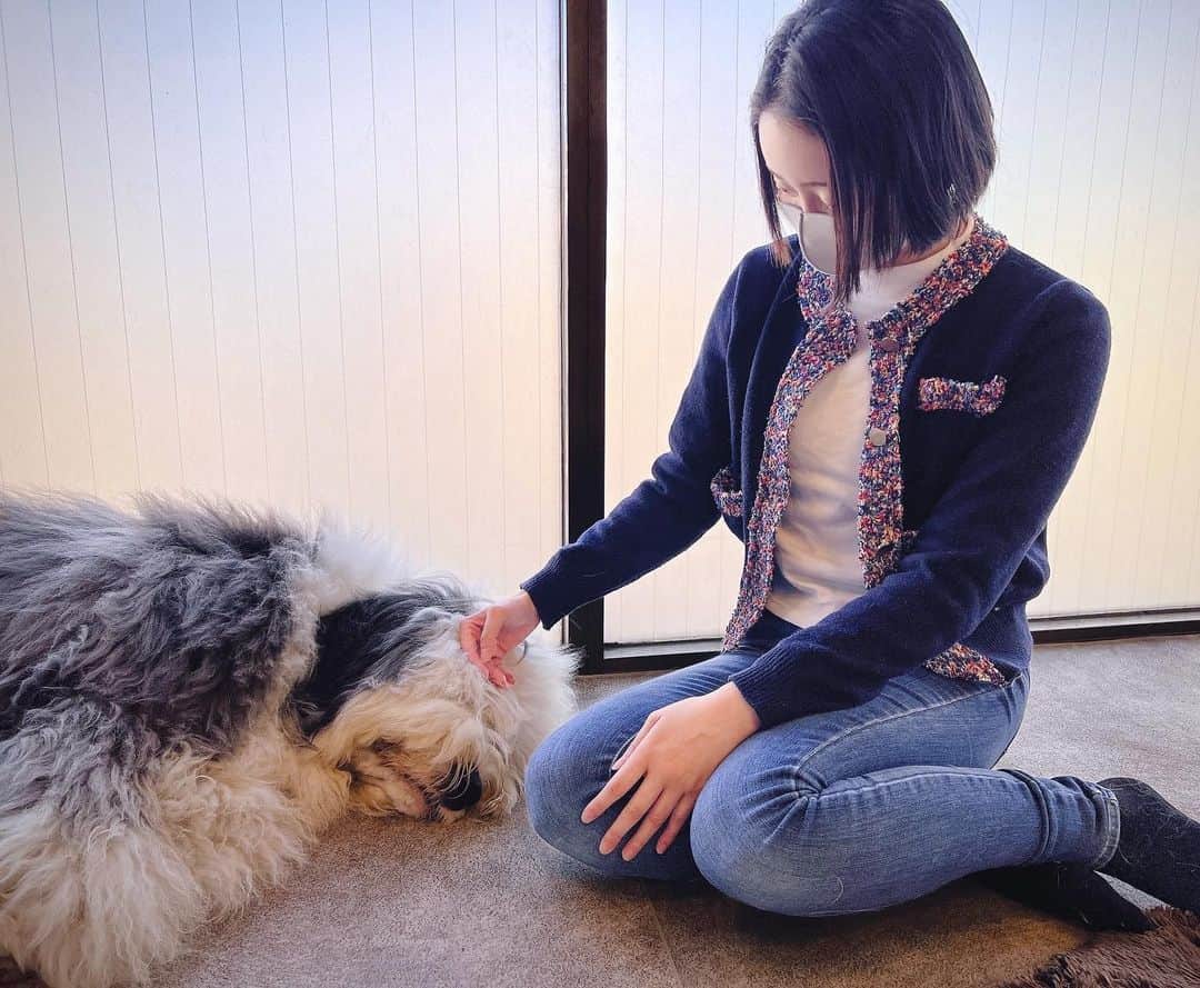 都丸ちよのインスタグラム：「. . . 念願の大型犬カフェぐらんむーに行ってきた🫶😍 . 土日はなかなか予約がとれない人気のお店！ 平日休みの特権だ〜✌️✨ . おおきいわんちゃん…可愛かった…🥲🫶 将来はお庭のあるお家に住んでサモエド遊ばせたい… . . .」