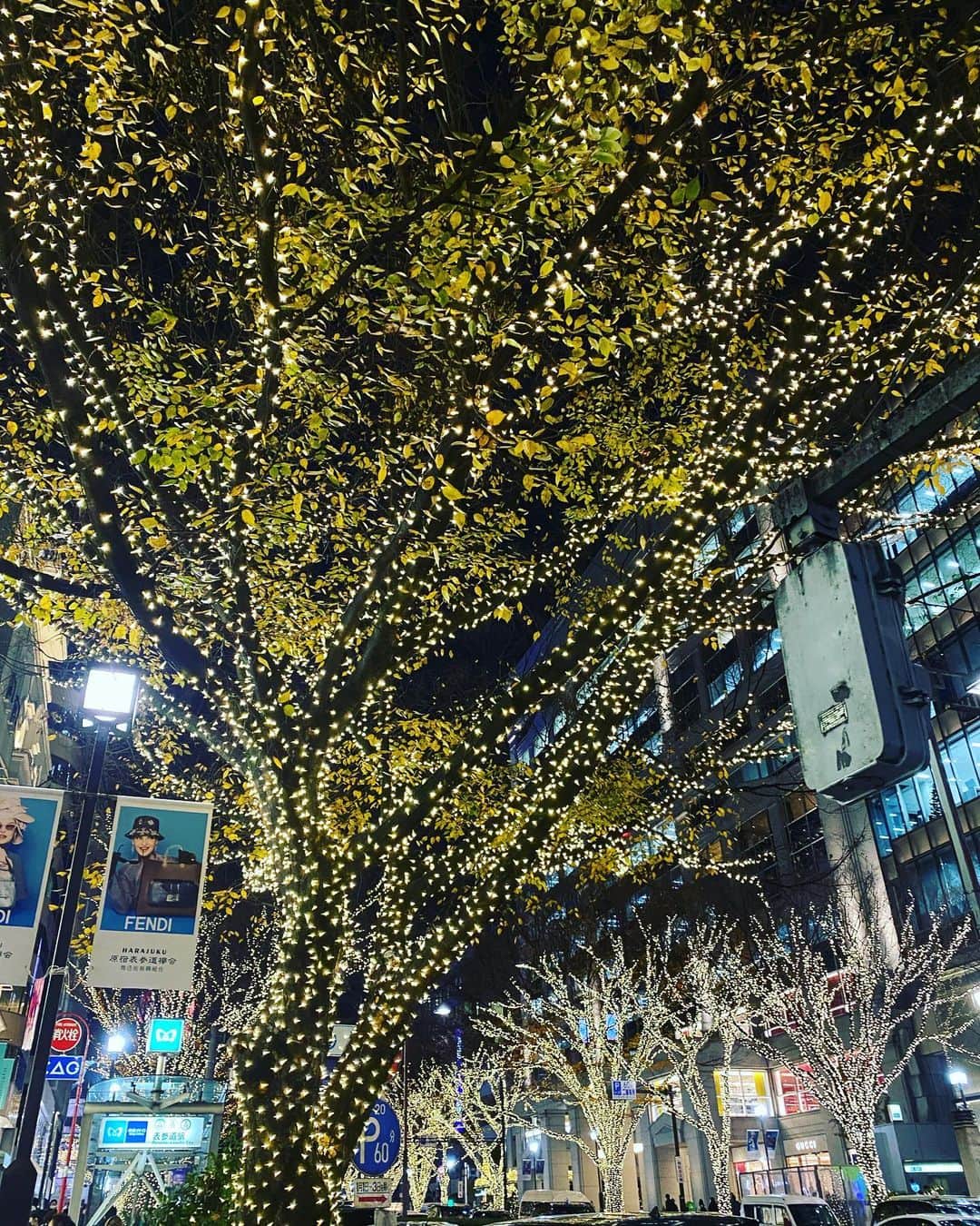 青木さやかさんのインスタグラム写真 - (青木さやかInstagram)「表参道がクリスマスみたいになっていました」12月16日 17時18分 - sayaka___aoki