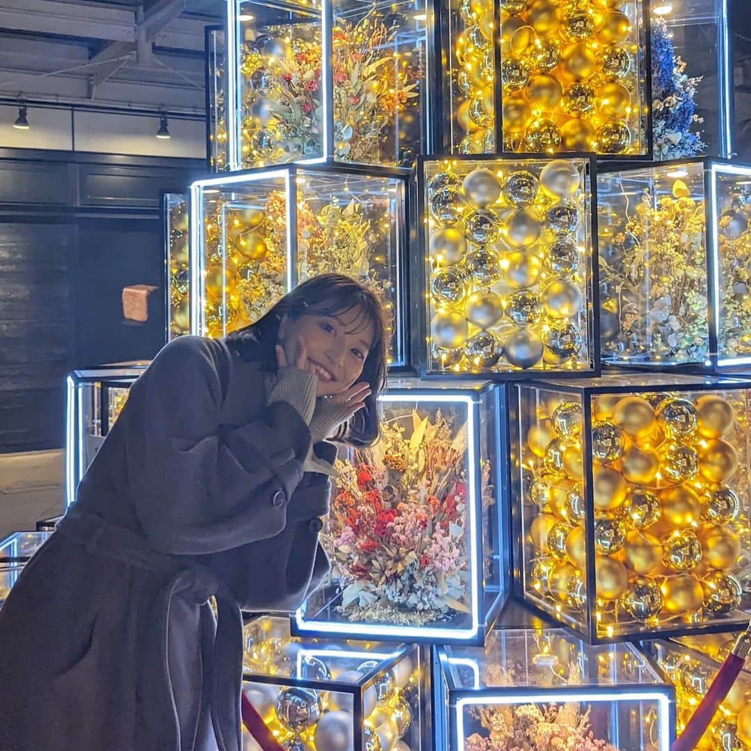 のインスタグラム：「. 12月16日（金）19:00~ @honwakaytv 【大阪ほんわかテレビ】 年末マルトク！オススメスポット 紹介します〜🤍  みてね🫶🏻（写真は全然ちゃうやつ）」