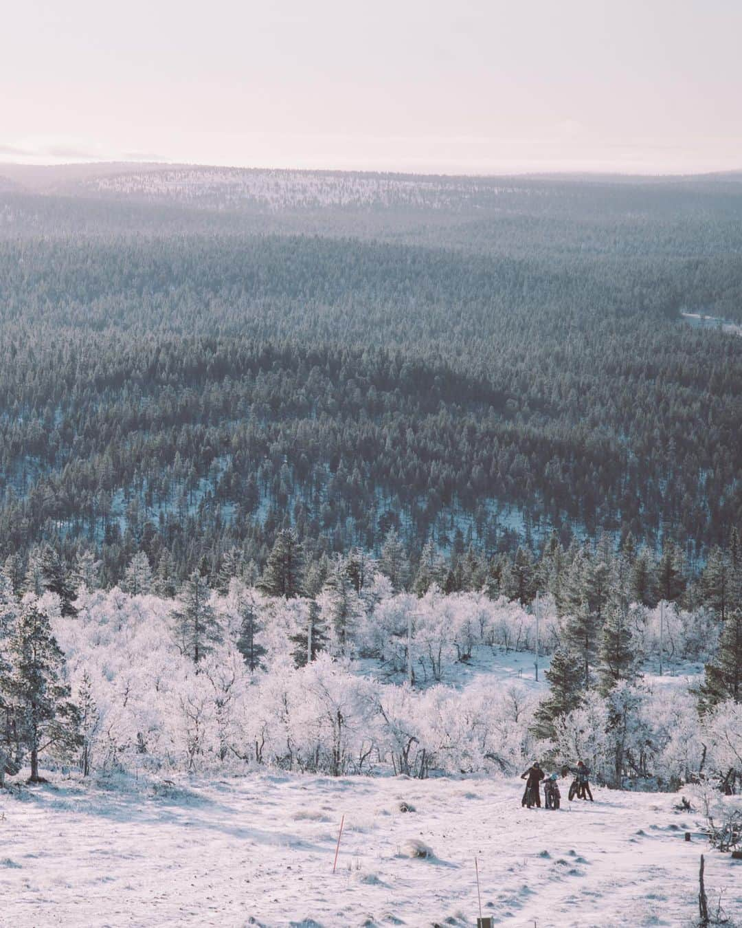 佐藤健寿さんのインスタグラム写真 - (佐藤健寿Instagram)「Finland 2022.11 @transitmagazine」12月16日 18時01分 - x51