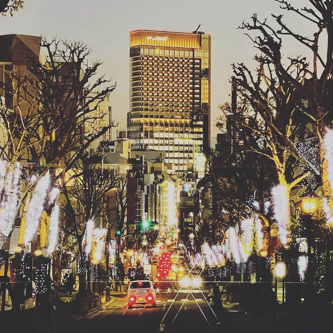 神戸フランツ 公式＠お中元はコミュニケーションさんのインスタグラム写真 - (神戸フランツ 公式＠お中元はコミュニケーションInstagram)「もうすぐ#クリスマス🎄 ⁡ クリスマス気分を盛り上げてくれるクリスマスツリーやイルミネーションで神戸の街はキラキラ✨そんな今しか見れない神戸の街をパシャリ📱 ⁡ まずは、JR三ノ宮駅前にある神戸阪急。 本館2階・山側入口前の「グランパティオ」に飾られたクリスマスツリーは、大小のツリーが並んでいて、一番大きなツリーはなんと8メートルもあるのだそう！！(夜のライトアップもされた姿もオススメ！) ⁡ そして次は北野へ。日も暮れだし、山手の坂の上から見下ろす町並みはより一層きれい。 キンと冷えた空気の中、黄色い灯りが温かみを添えてくれるので寒さを忘れて見入ってしまいます😍 ⁡ 事務所に戻ろうと、旧居留地の大丸神戸店周辺の街路樹のイルミネーションを見ながら歩いていると、三井住友銀行神戸本部ビル前広場から音楽が・・・ なんと、3年連続で開催見送りとなった「神戸ルミナリエ」の代替行事として、神戸ルミナリエの意義や想いを継承し、次回開催への願いを込めてロソーネという光のオブジェが設置されていました。（こども本の森がある東遊園地、神戸朝日ビル、南京町にも設置されているそうで、12月18日まで開催中！） ⁡ どのスポットも圧巻の美しさで、気づけばアルバムがイルミネーションで埋め尽くされていました😆 神戸にお越しの際は、いつもと違う雰囲気を楽しんでみて下さいね💝 ⁡ #frantzgram #神戸魔法の壷プリン #神戸フランツ #壷プリン #壺プリン #苺トリュフ #フランツ #プリン #スイーツ #神戸スイーツ #神戸ブランド #洋菓子 #お菓子 #神戸 #イルミネーション #観光 #神戸観光 #関西旅行 #神戸旅行 #お土産 #神戸土産 #kobefrantz #frantz #kobe #pudding #sweets #お写んぽ」12月16日 18時44分 - kobefrantz