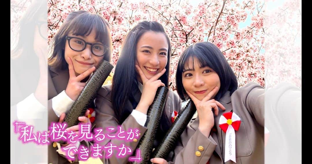 YUMIKO TANAHASHIのインスタグラム：「実話をもとにした家族と保険のストーリー11 「私は桜を見ることができますか」 日本生命オリジナル ショートムービー  YouTubeにて公開してますので、 是非見てください🌸  保険は大事だね！  #日本生命 #オリジナルムービー #保険 #youtube」