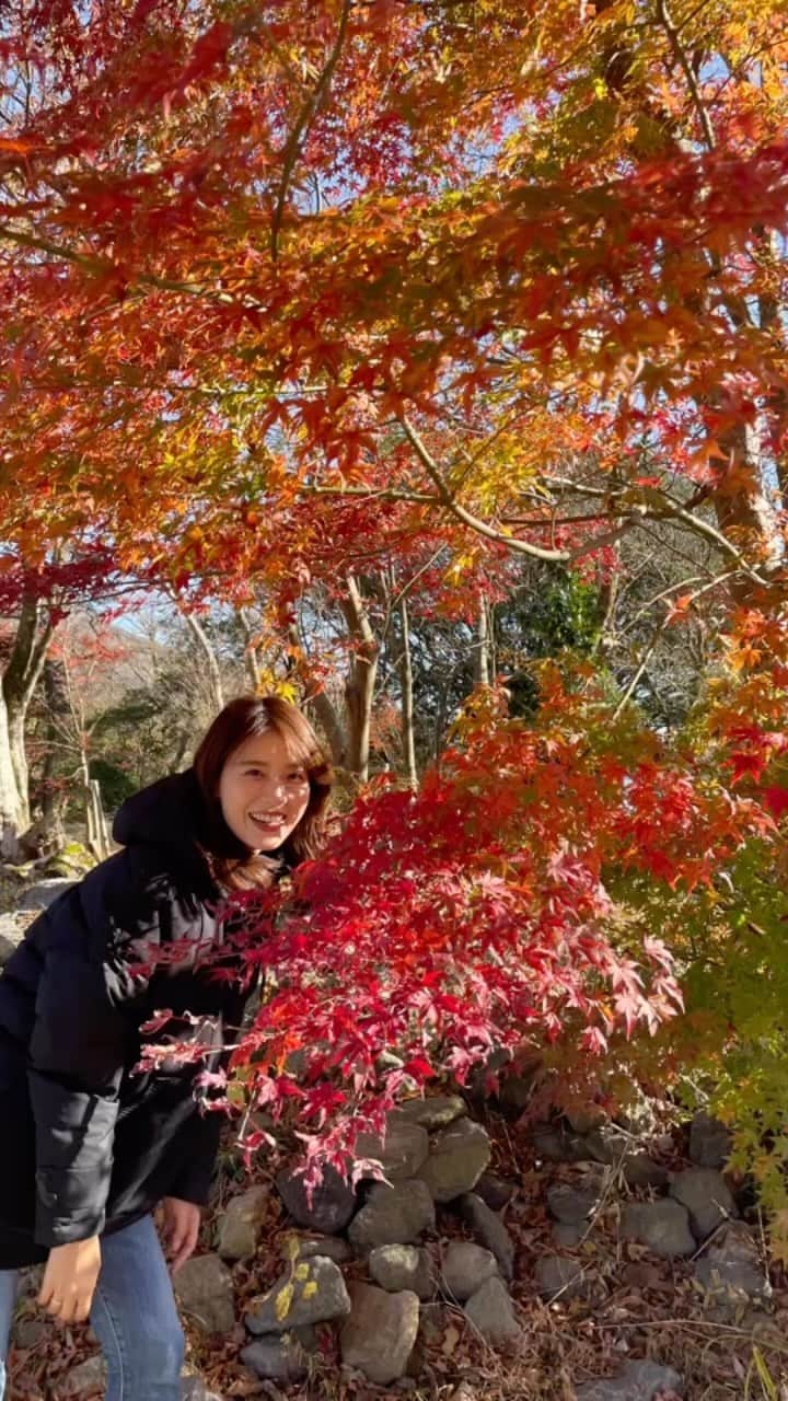 郡司恭子のインスタグラム