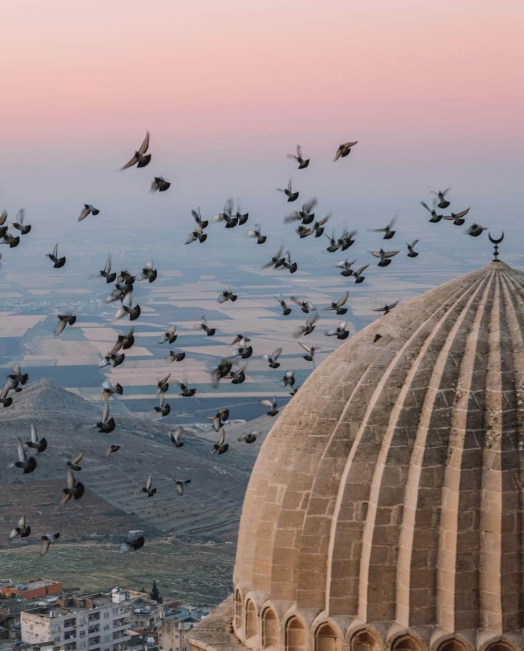 halnoさんのインスタグラム写真 - (halnoInstagram)「トルコ🇹🇷マルディン旧市街の夜明け ・ 早朝。誰もいない静寂の街を @kurubushi88 ノブさん、チャーターした運転手の無口なムラッキと3人で回った。徒歩で丘の上に上がると同時に美しい陽が昇った。アザーンが街のモスクの拡声器から響く。太陽は、ムラッキが案内してくれた隠れスポットに俺たちが到着するのを待ってくれていたみたいだ。 いま、誰かが誰かのために祈っている。 夢中でシャッターを押す。日本とも違う、カナダとも違う遠く離れた街で、俺は家族を思った。 ・ ・ Türkiye🇹🇷Dawn in Old Mardin. Early morning. The three of us went around the empty and silent city with @kurubushi88 Nobu and our chartered driver, the quiet Muracki. The sun rose beautifully as we climbed to the top of the hill on foot. Azan echoed from the loudspeakers of the city's mosques. It seems the sun was waiting for us to arrive at the hidden spot Muracki had guided us to. Now someone is praying for someone else. I press the shutter release button. I think of my family in a city so far away, so different from Japan, so different from Canada. ・  Special thanks @goturkiye @goturkiye_jp  tour guide @thoronaga カーンさん❤️ ・ #GoTürkiye #GoMardin #トルコ旅行 #mardin #mardi̇n」12月16日 20時49分 - halno