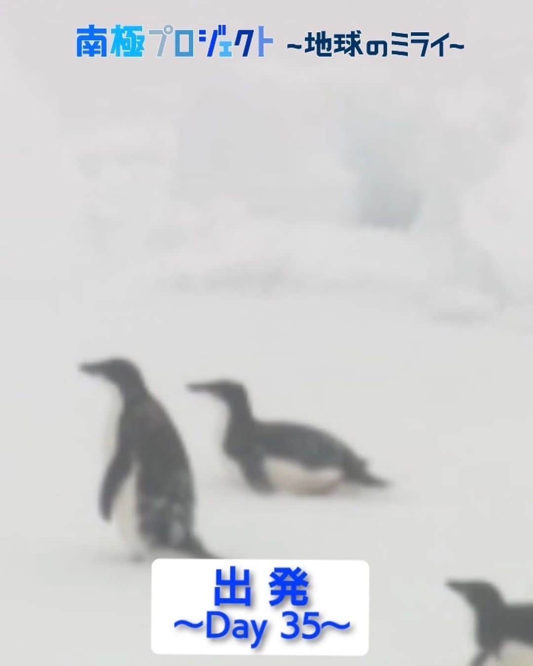 フジテレビ「THE NEWS α」さんのインスタグラム写真 - (フジテレビ「THE NEWS α」Instagram)「. ＼本日2本目TikTok更新しました！／ Live News αが発信する60秒SDGsNews✨ 南極観測船 #しらせ は #流氷 が 一面に広がる海域に突入 遂に　#ペンギン 🐧と遭遇！ まもなく🇦🇶 #南極 上陸です！  https://vt.tiktok.com/ZS8FbMYBK/  今後も随時アップしていく予定なのでぜひお楽しみに！   #livenewsα #ミライにα  Instagramのストーリーのリンク・公式HPからもアクセスできます！」12月16日 22時47分 - news_alpha