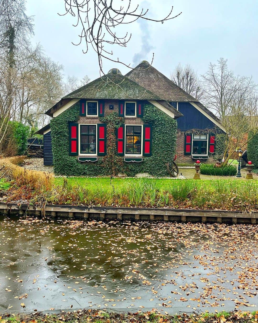 Seyda♥ Travel & Natureのインスタグラム：「Enioying #netherlands in 🥶 💜❤️💙💛💖💚」