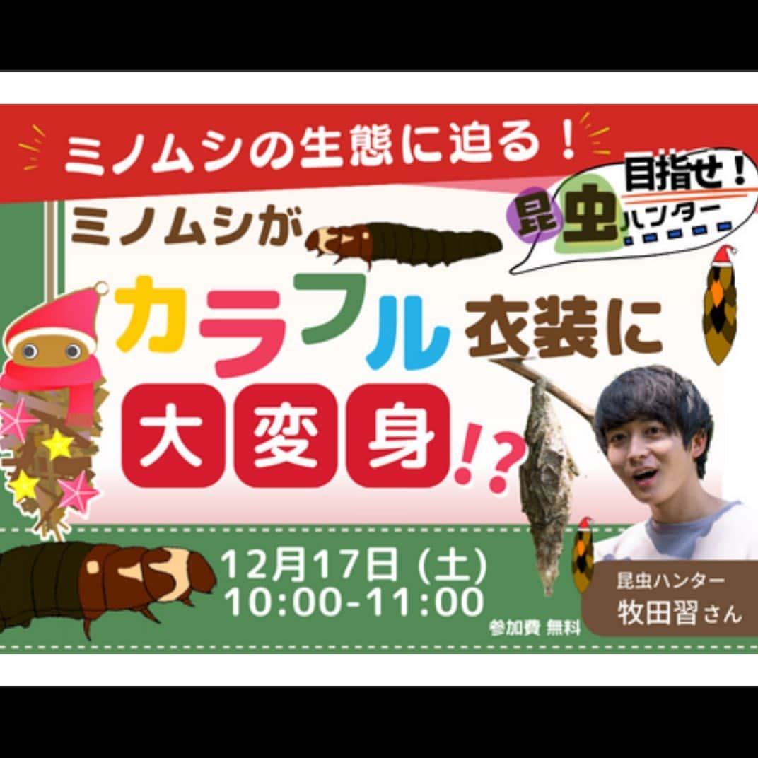 鷲尾春果のインスタグラム：「こんな時間になってしまいましたが💦 明朝のキッズウィークエンドでのオンライン授業のお知らせです😊  今回は、 『めざせ昆虫ハンター☆ミノムシがカラフル衣装に大変身！？』 ミノムシは、身にまとっているものを変えることができるそうで、授業では自分だけのミノムシの作り方も教えて頂きます。 身近だけど、実はよく知らないミノムシの面白い生態を知って、楽しい冬休みにしてくださいね！  ◎12月17日（日）10:00〜11:00 ◎対象　3歳〜大人 ◎講師　昆虫ハンター　牧田習さん ◎参加費　無料  12月17日　9:55までご予約可能ですので、ぜひチェックしてみてくだい📝 私は授業前後にファシリテーターをさせて頂きます。  ぜひご参加頂けたら嬉しいです😊 @kidsweekend_official   #キッズウィークエンド#オンライン授業#子育て#ママ#子どもの習い事#週末#冬休み #昆虫#ミノムシ#昆虫ハンター#牧田習　先生 #鷲尾春果#3児のママ」