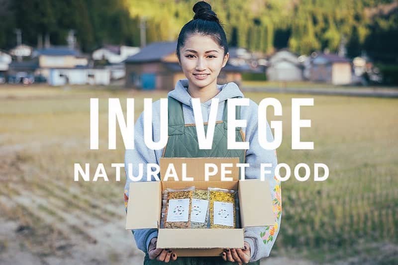 清水香澄のインスタグラム：「. 12/15から 無添加手作り犬ごはんINUVEGE イヌベジ を販売開始しました🐶  しらおシマダファームのお野菜と 郡上で獲れた天然の鹿肉を使って こだわり抜いた食材のみで作ったごはんです。  長くなりますがイヌベジに対する思いを語らせてください。笑  地元の岐阜県郡上市に帰ってきたタイミングで カニンヘンダックスのジェニちゃんを迎え入れました🐶  「食べたもので身体はできている」のは犬も同じ。 しかも犬は人間が与えたものしか食べられない。 人間より短い犬生。 大事な家族の一員であるジェニちゃんにも 質の良い美味しいもの食べて1日でも長く健康に幸せにしてあげたいと思い 手作り犬ごはんを作り始めました！ 犬に必要な栄養素やカロリーいろんな本や資料を読んで調べ、いろんな食材を試してみている中で シマダファームの野菜だけ尻尾フリフリで とっても喜んで食べている姿を見て 人間にとって身体にいい、美味しいものは 犬にとっても身体にいい、美味しい。  そして、いつもお世話になっている猟師&カメラマンの @kumityou さんから ワンちゃんにこれ食べさせてみなよ！ってたまたまいただいた鹿肉。 これがまた新鮮で私が食べてもおいしかった笑 鹿肉の栄養素はワンちゃんにとって抜群の栄養が詰まったたんぱく質源になる。 すぐにその鹿肉を解体している獣肉解体場へ行き、直接仕入れさせていただくことになりました🦌  良質なタンパク質や脂質、栄養満点のお野菜を食べていたら、みるみる内に毛並みが良くなり、悩んでいた食糞も改善されました！  普通のフードはずっと同じ味だけど、 季節によって使う野菜が変わるので、毎回見た目や香りも変わっていきます🥕 なかなか水を飲まないワンちゃんって多いけど、INUVEGEには手作りのごはんと一緒に郡上の美味しいお水と、野菜に含まれた栄養たっぷりの水分を摂れるのも、腸内環境や身体作りにとって最高！  こんな最強の組み合わせのごはん、 ぜひみんなにも食べて欲しい！ という思いでINUVEGEをスタートさせました♪  自分自身のボディメイクの経験から 食に対して本当にストイックに向き合ってきました。 そんな私が自信を持っておすすめできるものができました！  ぜひわんちゃん飼っている方は 一度お試ししてみてください🥰 感想も教えてね❤️ 飼ってない人も、かすみがこんなの始めたよーって みんなに広めてくれると嬉しいな🥰  @inu_vege」