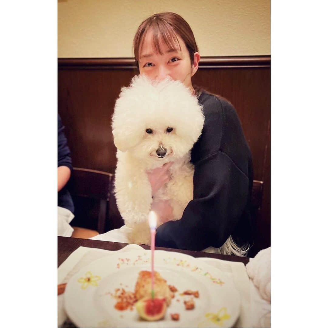 高梨臨さんのインスタグラム写真 - (高梨臨Instagram)「誕生日でした。 ちょっと、ぱんちゃん！祝う気ないでしょ！」12月17日 18時10分 - rintakanashi_official