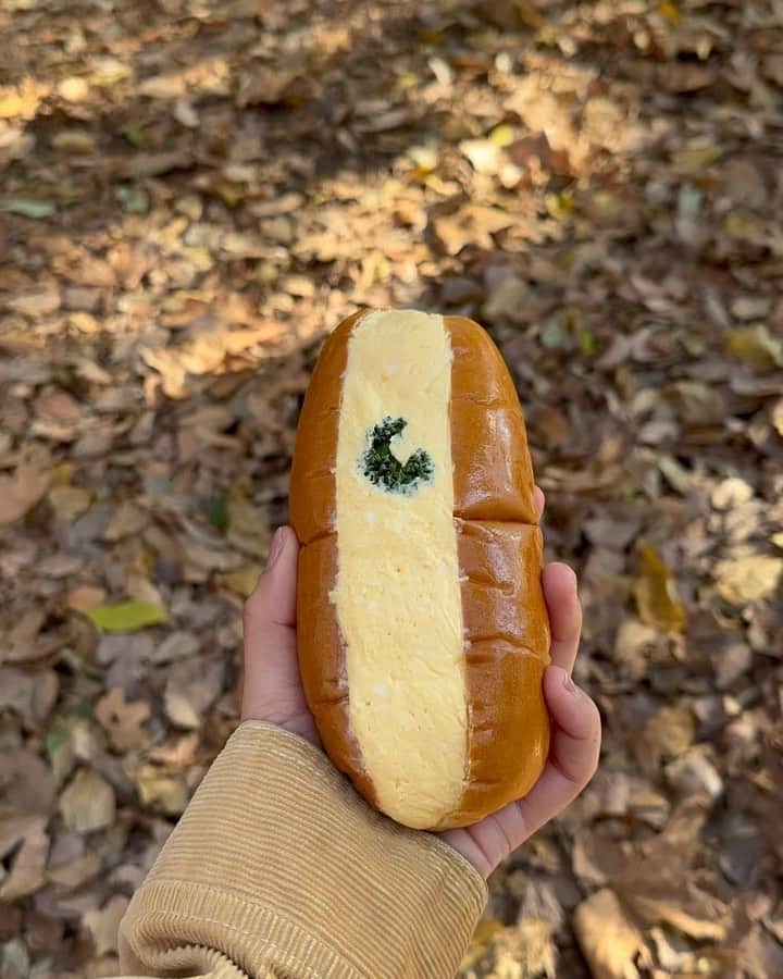Mayuriのインスタグラム：「🥚さんのスナップから始まります」