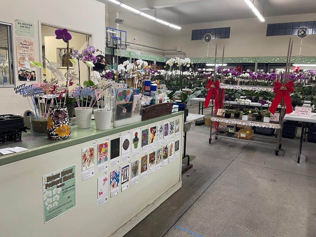 栗原まもるさんのインスタグラム写真 - (栗原まもるInstagram)「Flower Postcard Exhibition in Los Angeles has begun! My postcards are on display in front of the cash register. Look at the top row, far left!  I hope many people will be able to see them ✨.  フラワーポストカード展inロサンゼルスが始まりました！ 私のポストカードはレジ前の展示です。 上段の左端ですね☺️ 沢山の方に見ていただけるといいなと思います✨  http://www.pac8orchids.com/about-us/  #絵本コロンブスのポストカード展  #Flower Postcard Exhibition in Los Angeles」12月17日 11時41分 - kurimamo.jimlili