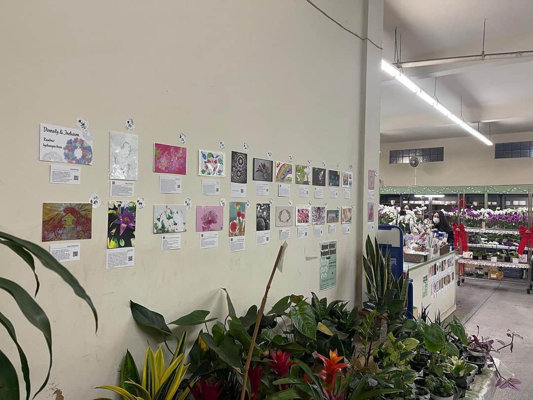 栗原まもるさんのインスタグラム写真 - (栗原まもるInstagram)「Flower Postcard Exhibition in Los Angeles has begun! My postcards are on display in front of the cash register. Look at the top row, far left!  I hope many people will be able to see them ✨.  フラワーポストカード展inロサンゼルスが始まりました！ 私のポストカードはレジ前の展示です。 上段の左端ですね☺️ 沢山の方に見ていただけるといいなと思います✨  http://www.pac8orchids.com/about-us/  #絵本コロンブスのポストカード展  #Flower Postcard Exhibition in Los Angeles」12月17日 11時41分 - kurimamo.jimlili