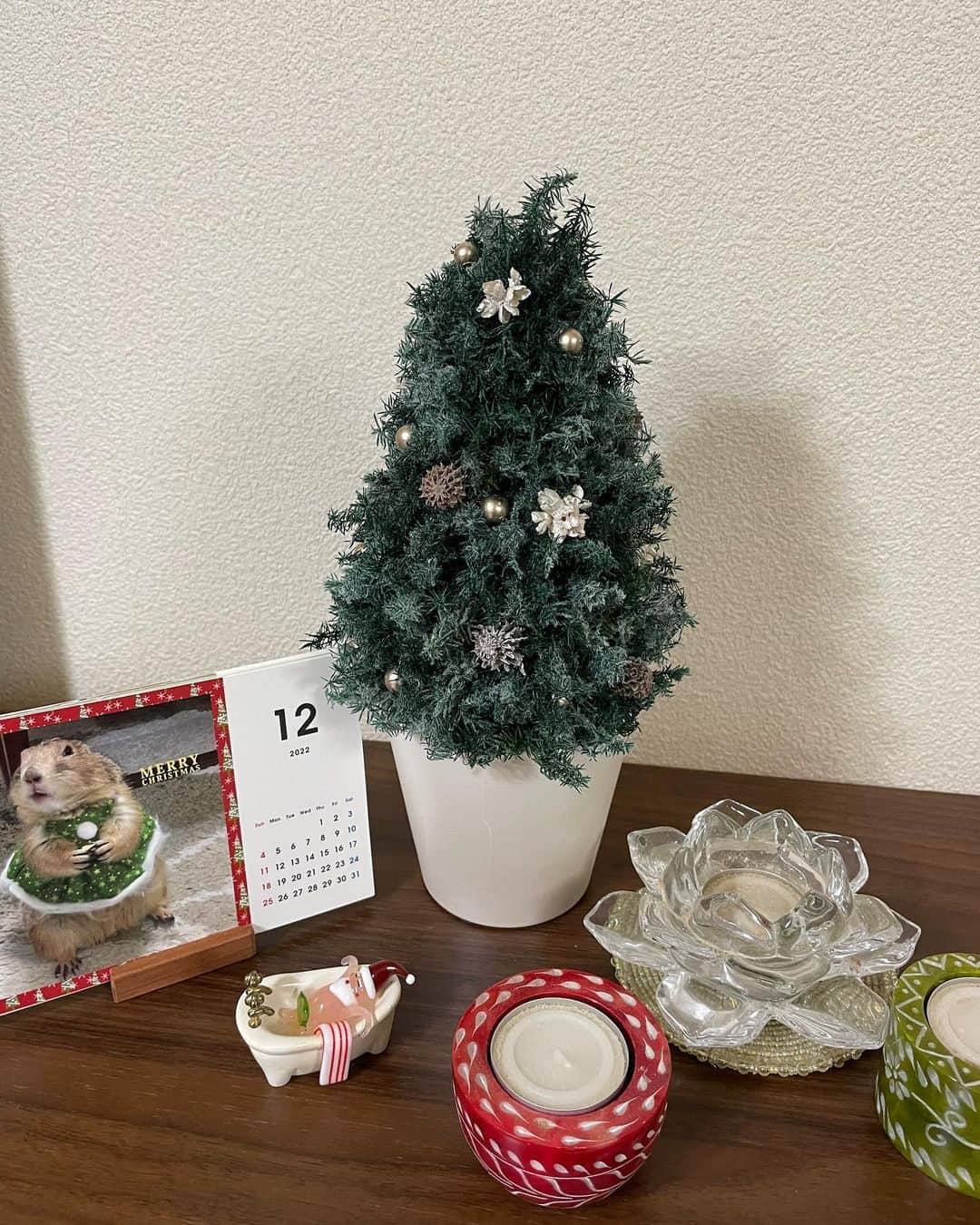 のインスタグラム：「くんた。Kunta. 何にも無いのも味気ないので シンプルで小さな #プリザーブドグリーン の #コニファーツリー を買ってみました🎄 @preservedflowerfine #プリザーブドフラワー #preservedflower #preservedgreen 12月のカレンダーは @tolot_official  おめかししたシンプルではないくんた😂 動画も載せておきます。 スワイプしてね👉🏻 #prairiedog #プレーリードッグ #ふわもこ部 もうすぐ @coricci_drawing さんの #クリスマスのまちあわせ #coricciさん大丈夫かな腱鞘炎 #ご自愛ください」
