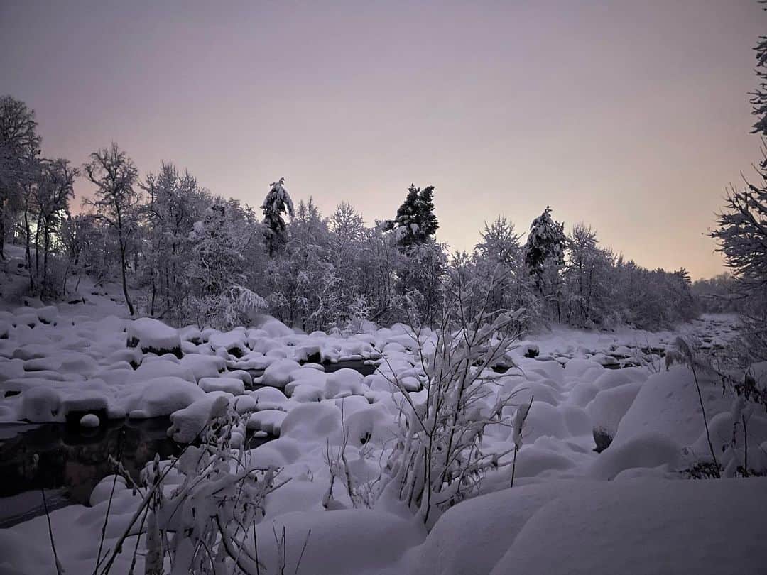 スルギのインスタグラム：「“So white”  📸: Christian Ardie Dawal  #naturephotography  #photography  #winter  #norway  #snow  #camera」