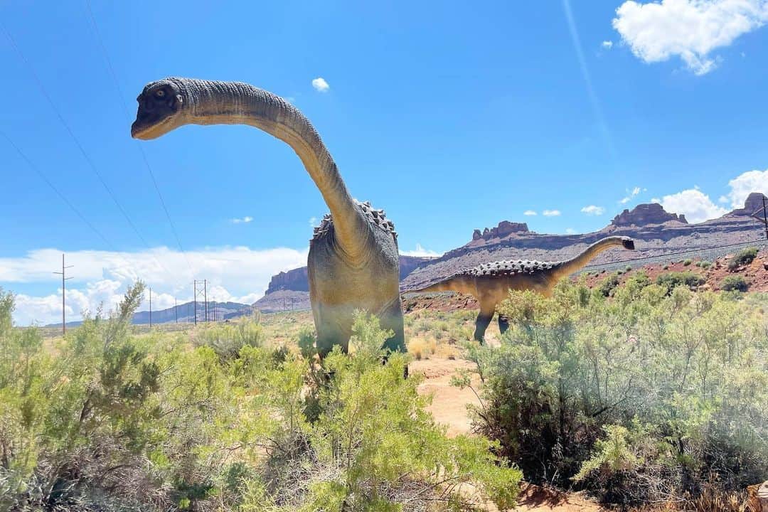 白渚すずのインスタグラム：「夏休みRV trip ・ ＊Moab Giants ＊  実寸大の恐竜が自然の中に佇むミュージアム。 大自然の中で見るだけにリアルに感じられました。 私が恐竜に食べられたかの様に演技をしていると はじめは呆気に取られていたボク(笑)  次第にノリノリになり一緒に楽しみました♪  #grandcircle#rv#rvtravel#rvtrip#moabgiants#moab#moabutah#dinosaur#dinosaurs#dino#恐竜#きょうりゅう #キャンピングカー#キャンピングカーの旅」