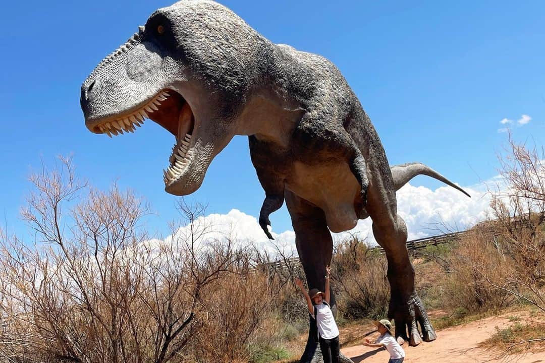 白渚すずさんのインスタグラム写真 - (白渚すずInstagram)「夏休みRV trip ・ ＊Moab Giants ＊  実寸大の恐竜が自然の中に佇むミュージアム。 大自然の中で見るだけにリアルに感じられました。 私が恐竜に食べられたかの様に演技をしていると はじめは呆気に取られていたボク(笑)  次第にノリノリになり一緒に楽しみました♪  #grandcircle#rv#rvtravel#rvtrip#moabgiants#moab#moabutah#dinosaur#dinosaurs#dino#恐竜#きょうりゅう #キャンピングカー#キャンピングカーの旅」12月17日 17時14分 - suzubell_44