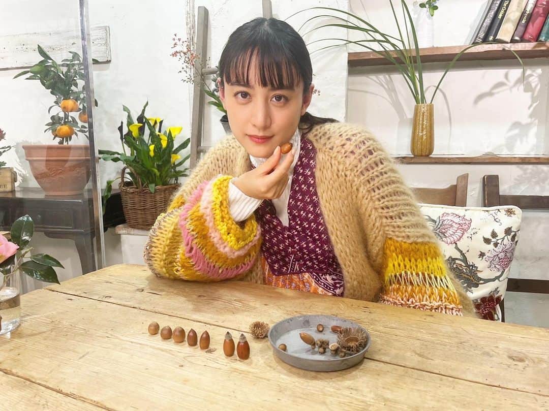 のインスタグラム：「- ̗̀☾⋆ ̖́-  どんぐりコロコロどんぶりこ  植物を、観察する。  明日、朝8:30〜 観てくださいね。   #趣味の園芸   #趣味の園芸グリーンサムへの12ヶ月」