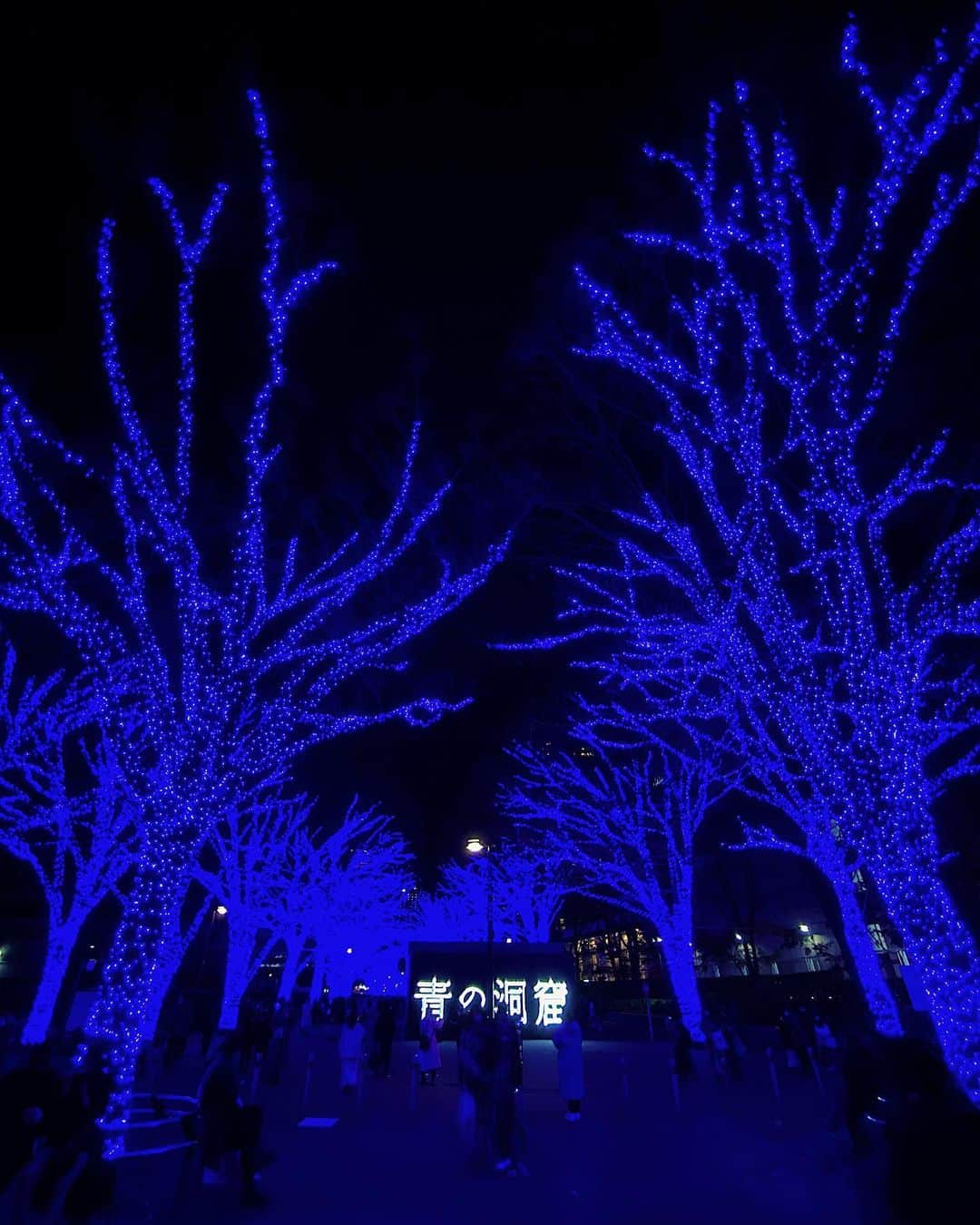 Shokoさんのインスタグラム写真 - (ShokoInstagram)「＊Tokyo＊  Beautiful Christmas lights pop up everywhere in Tokyo and they all have different theme and designs which makes it so special to come back home this time of the year.   This is one of my favorite in Shibuya, location closer to Omotesando. The image came from Italy’s Blue Grotto.  I feel like it’s almost a dream to be back home here with my daughter. 5 years ago I came to this same spot and posted on Insta. Who knew that the world would just shut down and flying back home was not possible.  Slowly but surely I think we are trying to get our normality back.」12月17日 23時00分 - simplytokyo