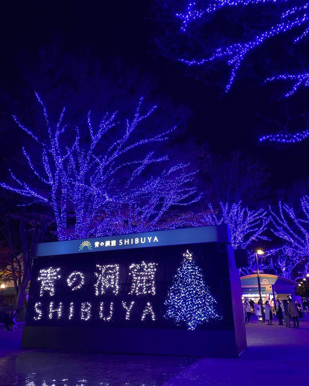 Shokoさんのインスタグラム写真 - (ShokoInstagram)「＊Tokyo＊  Beautiful Christmas lights pop up everywhere in Tokyo and they all have different theme and designs which makes it so special to come back home this time of the year.   This is one of my favorite in Shibuya, location closer to Omotesando. The image came from Italy’s Blue Grotto.  I feel like it’s almost a dream to be back home here with my daughter. 5 years ago I came to this same spot and posted on Insta. Who knew that the world would just shut down and flying back home was not possible.  Slowly but surely I think we are trying to get our normality back.」12月17日 23時00分 - simplytokyo