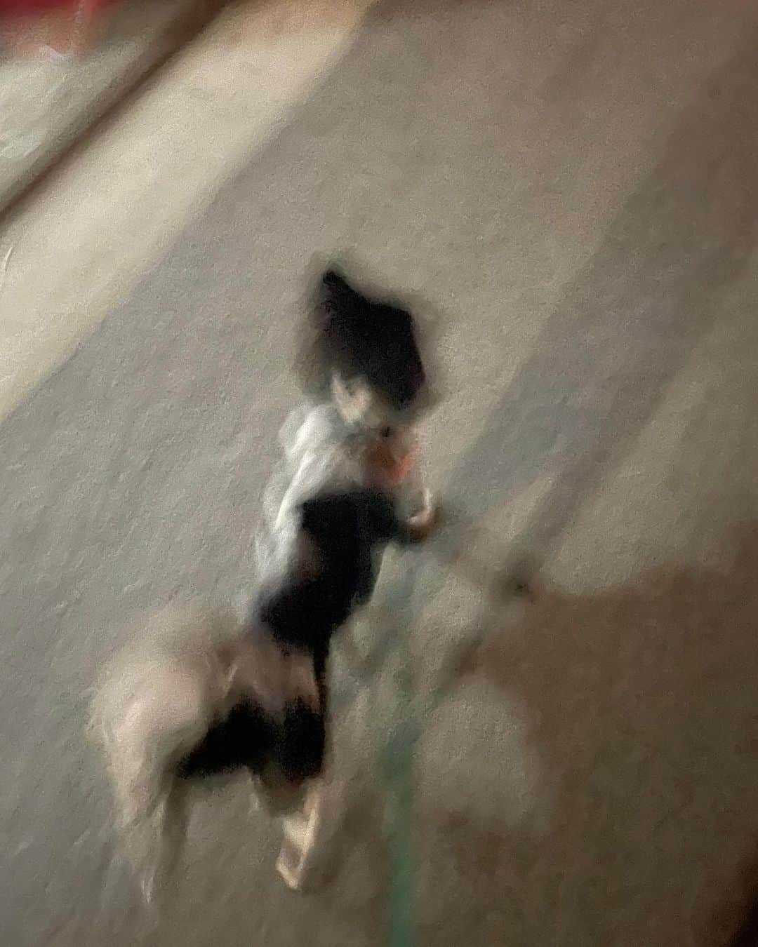 カン・ユンジェさんのインスタグラム写真 - (カン・ユンジェInstagram)「삼촌이랑 언제 친해질래  🥺」12月17日 23時46分 - ybyeol