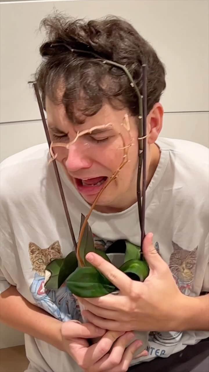 ダニエル・ハウウェルのインスタグラム：「he literally had one job while i was gone」