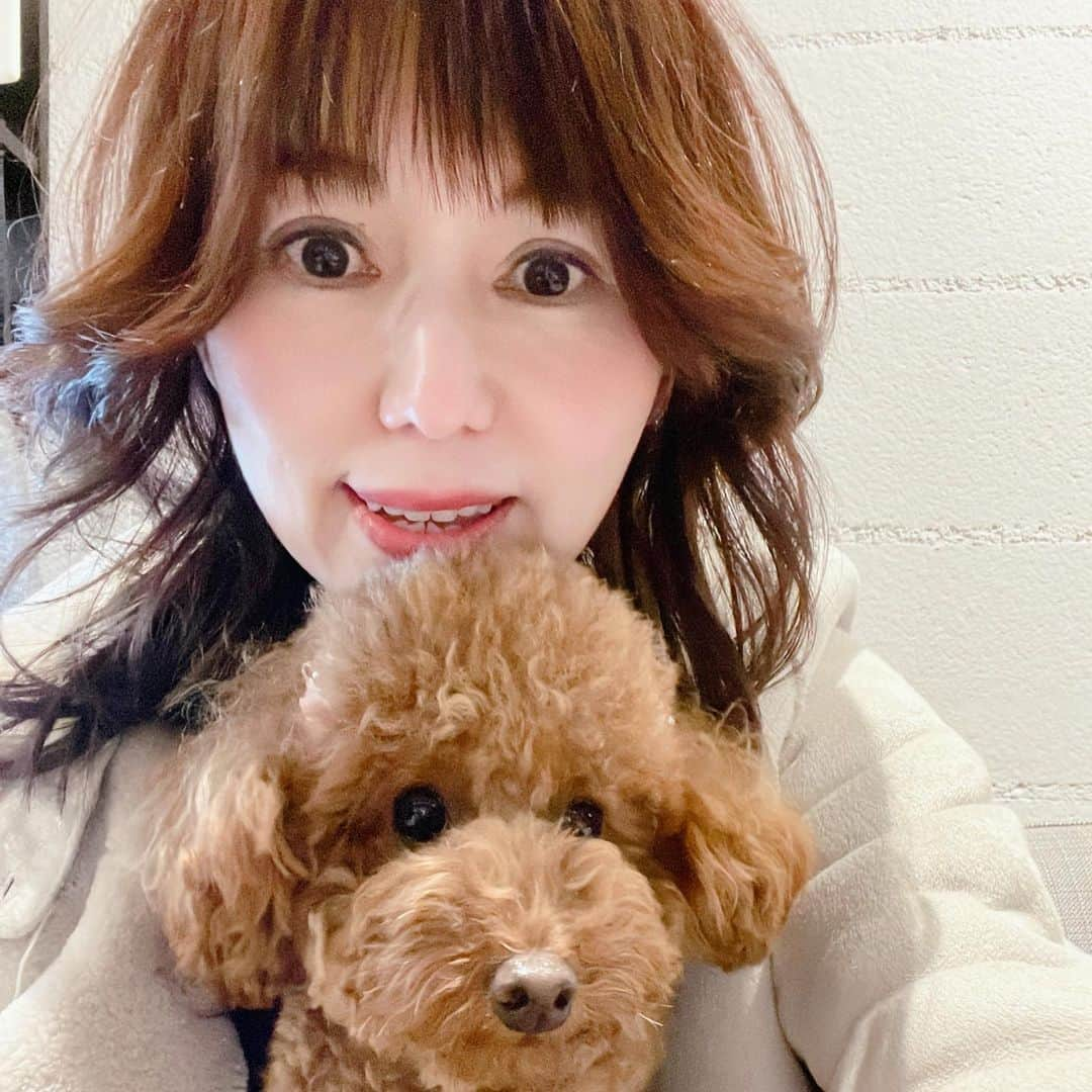 上原みなみのインスタグラム：「明日は、凛ちゃん(愛犬)2歳の #Birthday🎂 いつも一緒に来る #イタリアン で、#ワンちゃん用ケーキ をお願いしていたので、取りに来たついでに、ひとり＆ワンで #ディナー も楽しみました❣️  写真は載せていませんが、 #バスク風チーズケーキ も抜群に美味しいですよ✨  #ペット同席可 の貴重なお店です。」