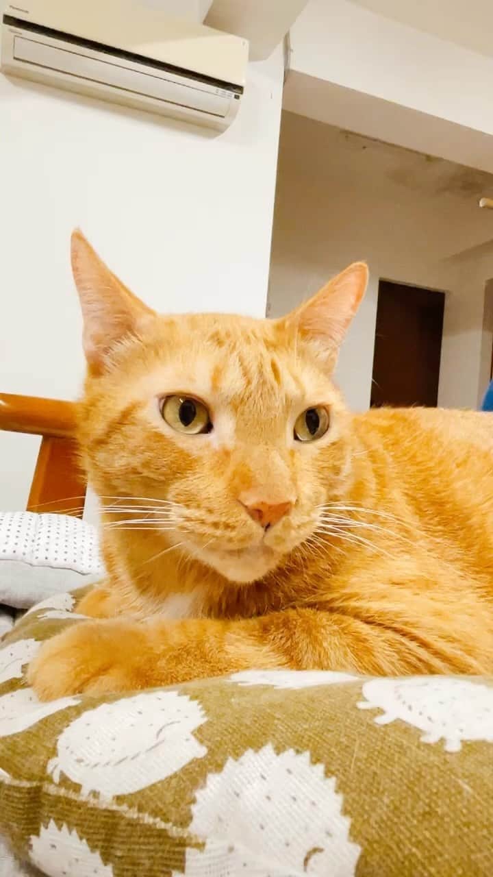 Katetsaiのインスタグラム