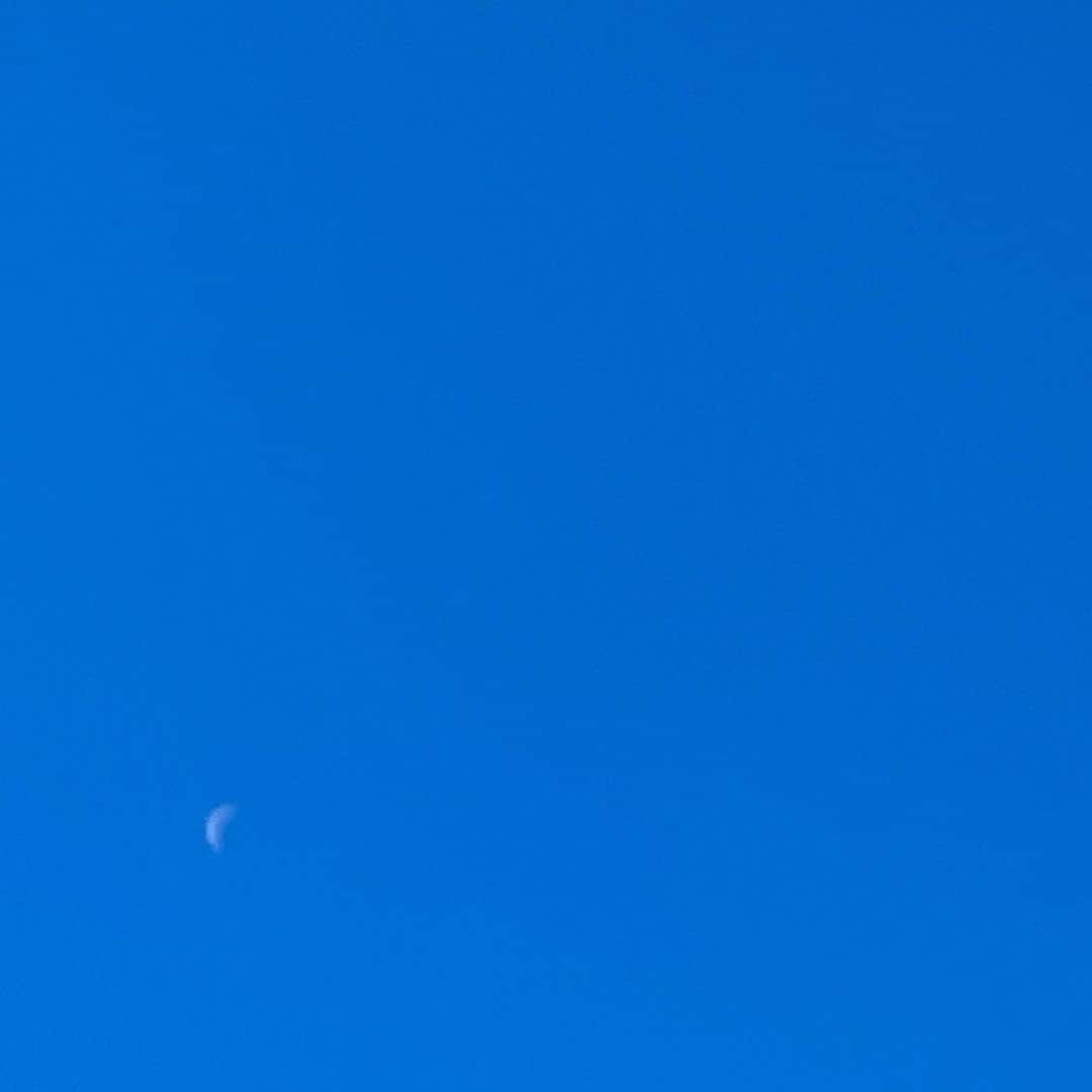 板谷由夏 のインスタグラム：「月曜日。青い空、美しい月。 置いてきぼりにされそうで 焦るときがある。 先日、若い女優さんに、あれ？あたし何やってんだろ？って わからなくなることありますか。と聞かれた。 あるよーあるよー、いつもあるよ。 板谷さんでもそんなことあるんですね。 って。 ありますよ、幾つになっても。 お天気に救われる。 ありがとうございます。 駆け抜けましょう、2022。」