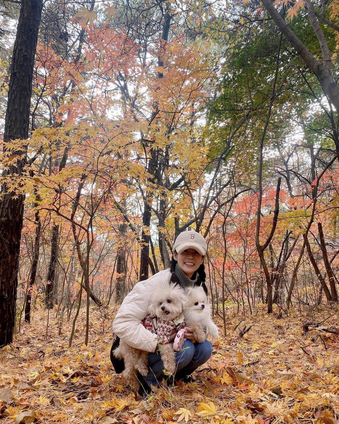 ハン・スンヨンのインスタグラム：「늦가을의 어느 산책.  깻다가 다시 살풋 잠들었는데 꿈에서 애기 모습을 한 푸리가 신나게 놀고있었다. 이름부르니까 예쁜 표정으로 토끼처럼 뛰어오는 푸리가 너무 오랜만이어서..  자꾸만 커지는 욕심, 미안함. 이번 겨울도 힘내자!」