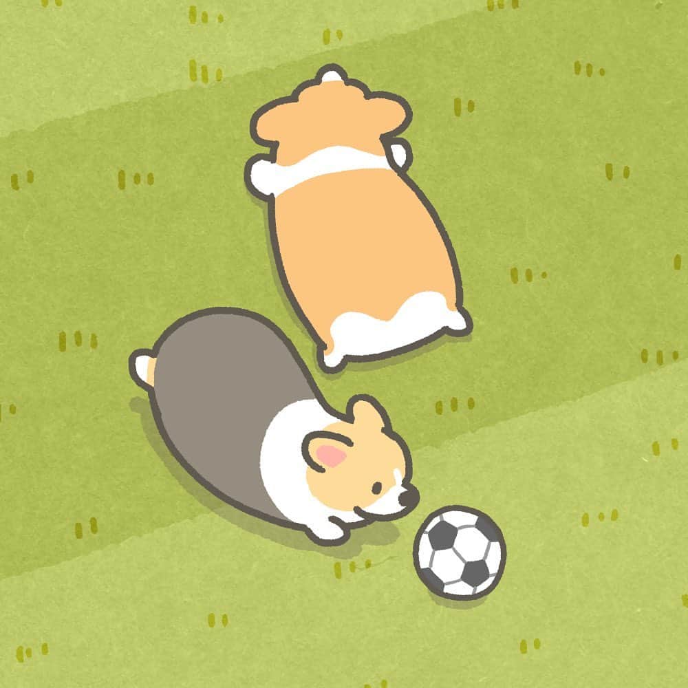 たきむらりゅうさんのインスタグラム写真 - (たきむらりゅうInstagram)「#コーギー #犬 #絵 #アート #イラスト #アニメ #アニメーション #corgi #corgidog #dog #illustration #art #anime #animation #animals #科基 #柯基犬 #코기 #スポーツ #運動 #サッカー #フットボール #ワールドカップ #football #sport #sports #soccer #worldcup」12月19日 12時31分 - 1corgi_dogs