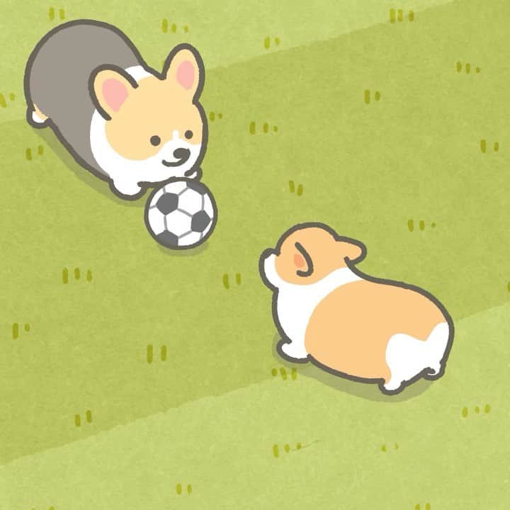 たきむらりゅうのインスタグラム：「#コーギー #犬 #絵 #アート #イラスト #アニメ #アニメーション #corgi #corgidog #dog #illustration #art #anime #animation #animals #科基 #柯基犬 #코기 #スポーツ #運動 #サッカー #フットボール #ワールドカップ #football #sport #sports #soccer #worldcup」