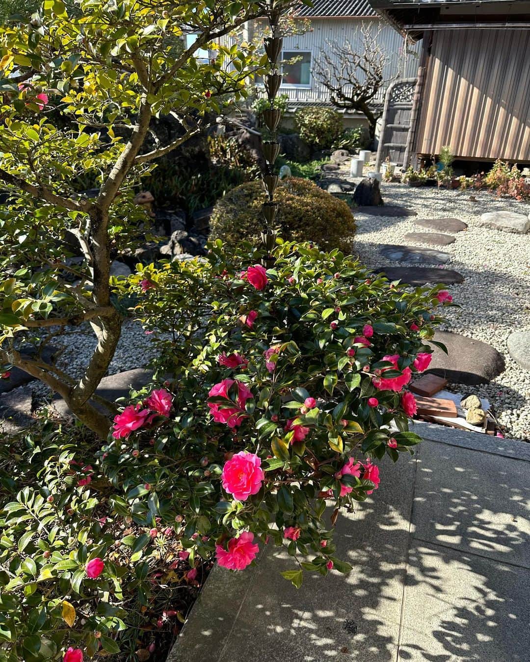 柚月瀬那のインスタグラム：「My grandma was very strong woman. She taught me how to be tough. I miss you already. R.I.P my lovely grandma 🕊️ 正直、RYT500のシニアヨガやメディカルヨガを取得しようと思ったのは祖母に教えたくて、祖母の腰が少しでもよくなればいいなと思って勉強し始めました。来年には何度か京都に足を運んで祖母に教えるからあと少し待っててな！と思ってたので今回のロスはとてもショックでした。いつも笑顔しか見せずニッコリと歯を見せて笑ってくれる祖母。学生時代も社会人になってもいつも帰りを待ってくれてました。最後まで私の姉を見て私の名前を何度も呼んでいたそうです。祖母の笑顔しか知らない私にとって目を閉じて真顔のような状態の祖母を見るのは不思議な感覚でした。「オムニ手当て」という資格も取得中なので、これで祖母が起きてくれるかなと思い何度か冷たくなった手も触れてもみました。ヨガ発祥のインド哲学の教えでは「輪廻転生」があると言われているのでそれを信じまた会えることを願います。泣いてばかりいると祖母が心配するので、RYT500も取得するまで最後まで頑張ります🧘🏻‍♀️一生味方やからね🫶🏻大好き🕊️」