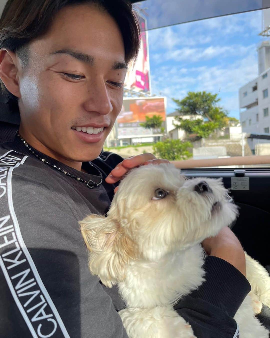 林大地のインスタグラム：「半年ぶりに会った時の写真🐶 半年離れてたから覚えてくれてるか不安やったけど、顔見てペロッてなめてくれてその後眠たくなって寝てた🐶 #林大地 #林寛太郎」