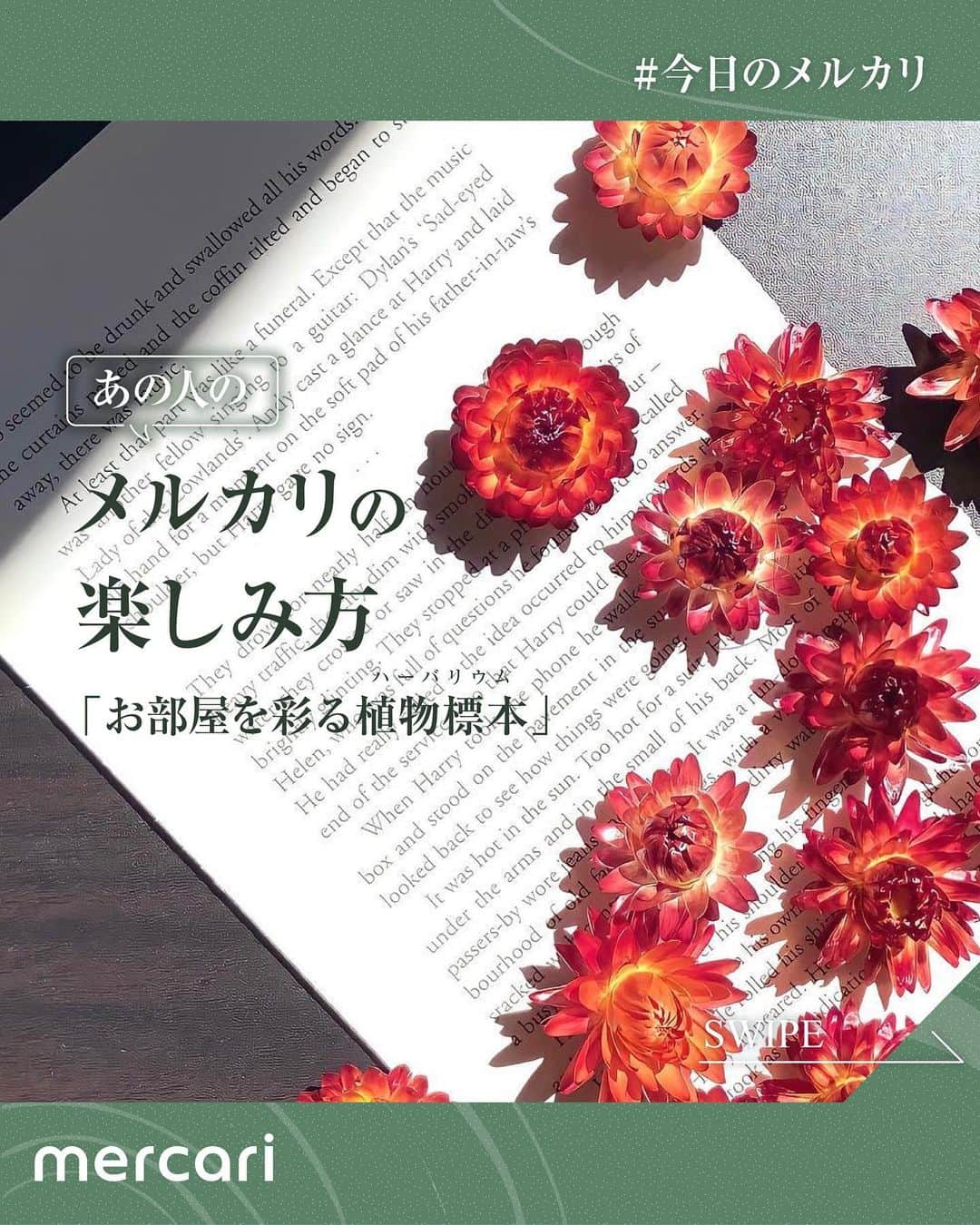 mercari_jpのインスタグラム：「＼ あの人のメルカリの楽しみ方 ／ テーマ「お部屋を彩る植物標本」  この投稿では、ひとりのメルカリ利用者さんに焦点を当てて メルカリの楽しみ方を素敵な写真とともにご紹介します✨  今回ご紹介するのは アンティークを基調にした手作りハーバリウムを メルカリで販売されている @____m.i.s____さん🌿  メルカリの楽しみ方についての新たな発見や 日々の暮らしにちょっとした変化が生まれる そんなきっかけになれば嬉しいです。  メルカリでは他にもたくさんのアイテムが出品されています💐 ぜひメルカリアプリもチェックしてみてください◎  次回もお楽しみに♪  -------------------- #メルカリ #メルカリ出品 #メルカリ販売 #メルカリ活用 #メルカリ活用術 #メルカリ初心者 #メルカリデビュー #メルカリはじめました #フリマアプリ #出品 #フリマ #ハーバリウム #植物標本 #ハーバリウム作り #ハーバリウムのある暮らし #植物生活 #緑のある暮らし #ハンドメイド #クリスマス雑貨 #クリスマスインテリア #冬の贈り物 #幻想的な世界 #おしゃれ雑貨 #ドライフラワーのある生活」