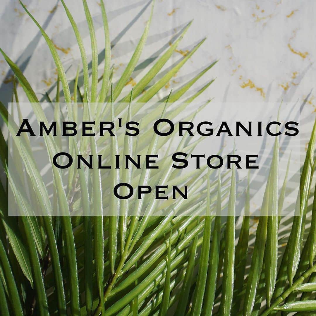 jyA-Me（ヤミー）さんのインスタグラム写真 - (jyA-Me（ヤミー）Instagram)「✨🌿🕯🌿✨ いつも応援してくださる皆さん、 お世話になっている皆さんにお知らせです🥰 この度、キャンドル好きが高じて、 100％植物性のオーガニックソイキャンドルを プロデュースさせて頂く事になり、 “Amber’s Organics” Online Storeを Openする事になりました🕯🛒✨ @ambers_organics   とぉ〜っても良い香りなので、 是非皆さんに香りと共に癒されて貰えたらと 思っております🙇🏼‍♀️💕  ストアオープン記念としまして、 こちらのアカウント @ambers_organics をフォローし、 1番トップにある投稿画面に 好きな香り(お花、フルーツ、具体的な名前、何でも大丈夫です🙆🏼‍♀️)を書いていただいた方の中から抽選で、 プレゼント/10%クーポン/送料無料クーポン をお届け致します❤️‍🔥 当選はDMにてお知らせいたします。 是非この機会にご応募してみて下さい！  ここからは 今までの経緯を書き記しておきますので、 ご興味ある方は読んでみて下さい🥰 ⬇️⬇️⬇️  私のことをよく知っている方は ご存知かと思いますが、 昔からキャンドル愛が止まらず、 今まで沢山のキャンドルと出会ってきました。 そんな中、 センツキュレーター(アロマ調合師)の Amberに出会い、 彼女がブレンドする香り達は 今まで探し求めていた香りをやっと見つけた〜！ という感覚でした。 100％植物性のオーガニックソイ ビーガン、フタル酸フリーという、 体にも環境にも優しく、 香りの持続性も良い彼女の キャンドルに癒され、 惚れ込んでいくうちに、 自らのオリジナルの香りをブレンドし、 インポートするようになりました。  自宅に遊びに来てくれるほとんどのお客さんが 『これほんとにいい匂いだね！！』 と気に入ってくれていたのがきっかけで、 私の大切な人にも この香りと癒しを届けたいと プレゼントしていた中で、 ギフトで送りたい、 ノベルティで使いたいなど、 沢山のリクエストが増えていきました。 今までは直接のやり取りや大口注文のみの 対応をさせて頂いていたのですが、 もっと気軽に沢山の方にこの香りと 癒しの時間をお届けできたらと思い この度オンラインストアを オープすることになりました🙇🏼‍♀️💕 Amberが出合わせくれた素敵な香り達に 敬意を込めてAmber’s Organicsと 名付けさせていただきました🙏🏽✨  おうち時間に、 集中したいときに、 大切な人と過ごす時間に、 Amber’s Organicsの香りと共に 癒しの時間を過ごして頂けたら嬉しいです✨  #ambersorganicsjp#アンバーズオーガニックス #ビーガン#オーガニックソイキャンドル #フタル酸フリー」12月19日 21時00分 - jya_me