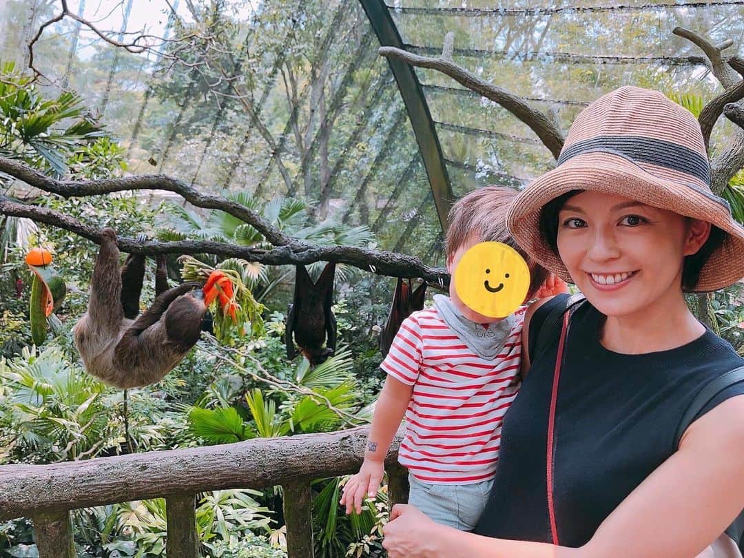中野美奈子のインスタグラム：「たまひよWEBさんに  子育てについてインタビュー記事が掲載されています。 ご興味のある方はぜひ。  ストーリーにリンク貼ります🐤  お世話になったたまひよさんとお仕事する日がくるとは！ 写真はシンガポール時代のものです。 4年にくらい前でしょうか。  寒い日に見ると恋しくなりますねー🌿 南国最高だったなぁ。 いつも半袖、毎日ビーサン、日焼けもしたけど、赤ちゃんとのお風呂も楽でした。  今はお風呂あがりが寒すぎて、震えてますー。 田舎の一軒家の寒さキツイ❄️  #たまひよweb #育児 #赤ちゃんのいる生活  #シンガポール生活 #シンガポールzoo   #中野美奈子」