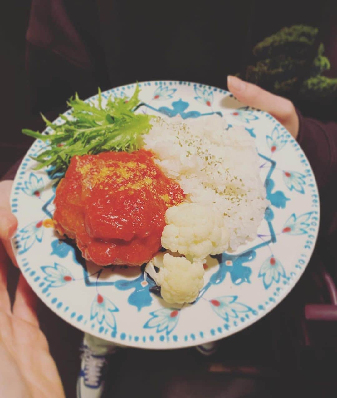 高岡早紀 さんのインスタグラム写真 - (高岡早紀 Instagram)「今夜は、娘のリクエストでトマト煮込みハンバーグ作ったよー  #早紀おウチごはん  #ワンプレートごはん」12月19日 22時40分 - saki_takaoka