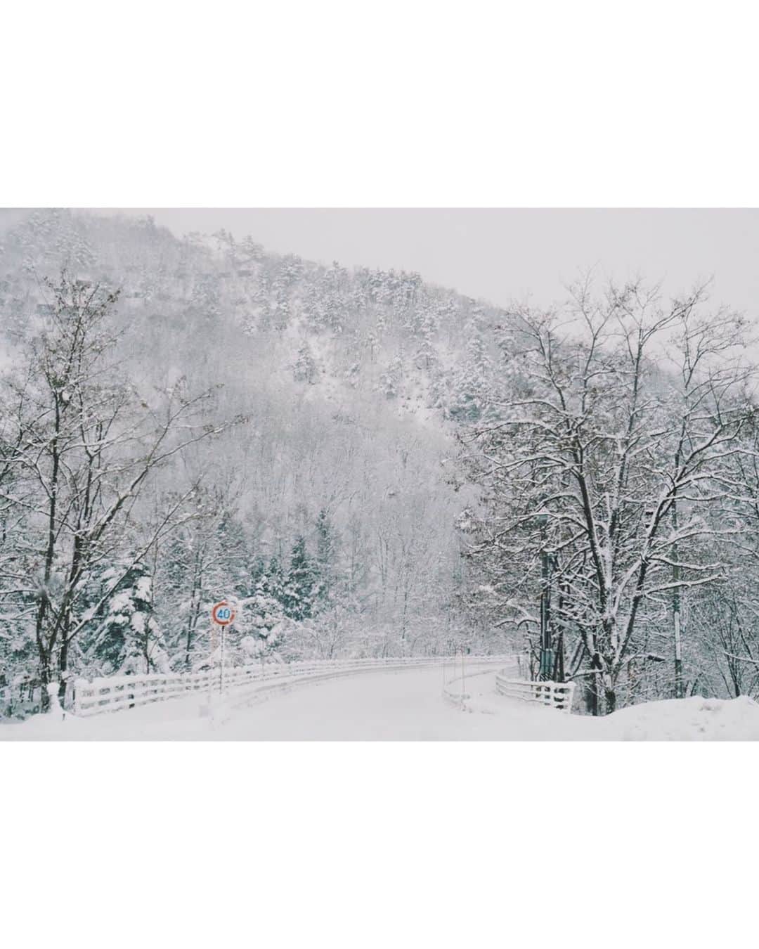 藤子さきさんのインスタグラム写真 - (藤子さきInstagram)「気分は川端康成って感じです。  #snow #winter #japan」12月20日 11時49分 - fujikosaki81