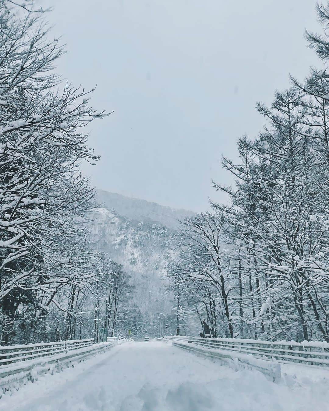 藤子さきのインスタグラム：「気分は川端康成って感じです。  #snow #winter #japan」
