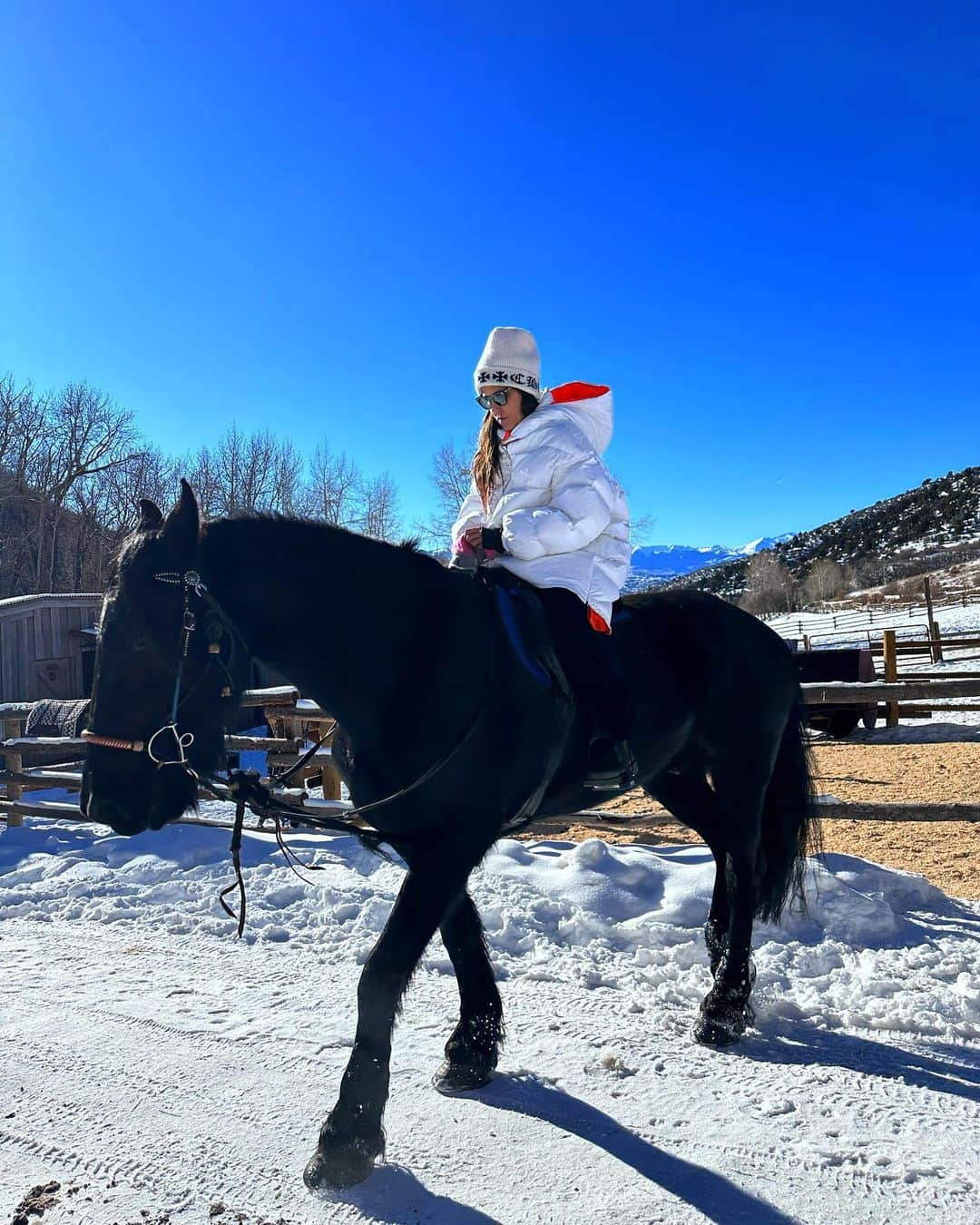 ローリー・リン・スタークのインスタグラム：「Wild West 🐎」