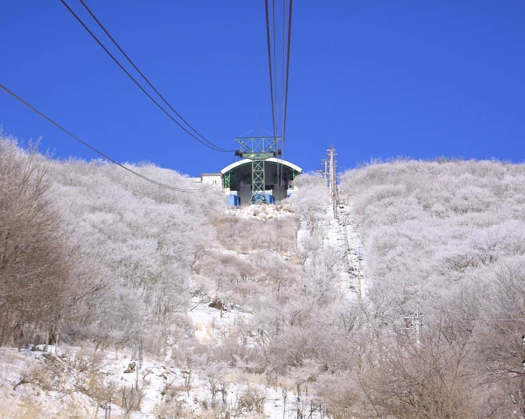 九州電力さんのインスタグラム写真 - (九州電力Instagram)「❄️九州では珍しい霧氷の銀世界❄️ . 大分県別府市にある「鶴見岳」は、霧氷が山上一帯を覆う九州では珍しいスポットです🏔 12月上旬から3月中旬に、気温や風などの気象条件が揃うと、木々に氷の花が咲き神秘的な景色が広がります❄️ . ※写真は別府ロープウェイ様よりご提供いただいたものです。 ※写真は過去に撮影されたものです。 ※最新情報はホームページをご確認ください。 . 気兼ねなくお出かけできる日が来るまで、お届けする九州の風景が、皆さまの元気や癒しになれば幸いです🍀 九電グループでは、「あしたプロジェクト～あしたを、しんじて、たすけあおう～」を展開しています。詳しくは、HPをご覧ください✨ . #九州電力 #大分 #別府市 #鶴見岳 #雪景色 #霧氷 #雪化粧 #銀世界」12月20日 17時00分 - kyuden_official