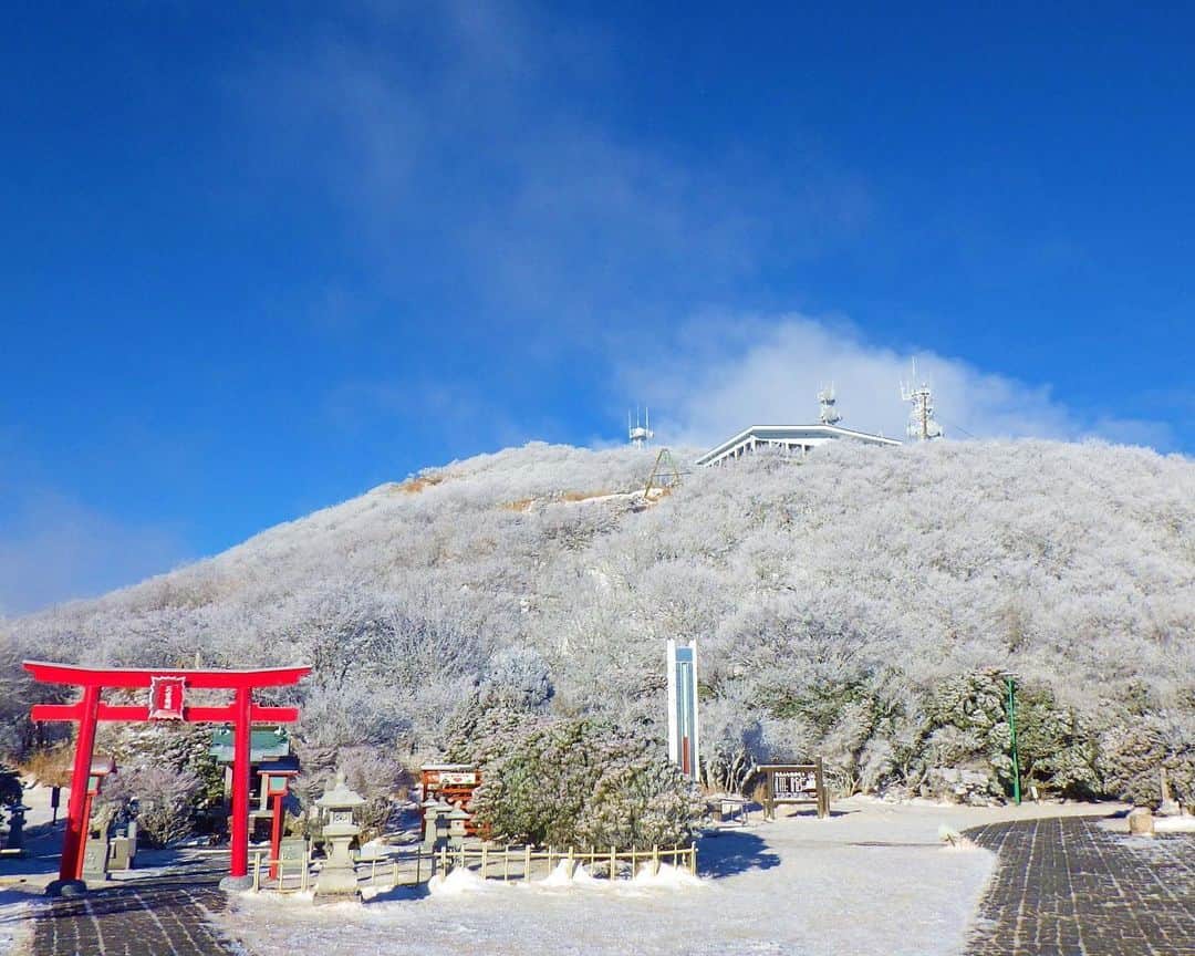 九州電力さんのインスタグラム写真 - (九州電力Instagram)「❄️九州では珍しい霧氷の銀世界❄️ . 大分県別府市にある「鶴見岳」は、霧氷が山上一帯を覆う九州では珍しいスポットです🏔 12月上旬から3月中旬に、気温や風などの気象条件が揃うと、木々に氷の花が咲き神秘的な景色が広がります❄️ . ※写真は別府ロープウェイ様よりご提供いただいたものです。 ※写真は過去に撮影されたものです。 ※最新情報はホームページをご確認ください。 . 気兼ねなくお出かけできる日が来るまで、お届けする九州の風景が、皆さまの元気や癒しになれば幸いです🍀 九電グループでは、「あしたプロジェクト～あしたを、しんじて、たすけあおう～」を展開しています。詳しくは、HPをご覧ください✨ . #九州電力 #大分 #別府市 #鶴見岳 #雪景色 #霧氷 #雪化粧 #銀世界」12月20日 17時00分 - kyuden_official