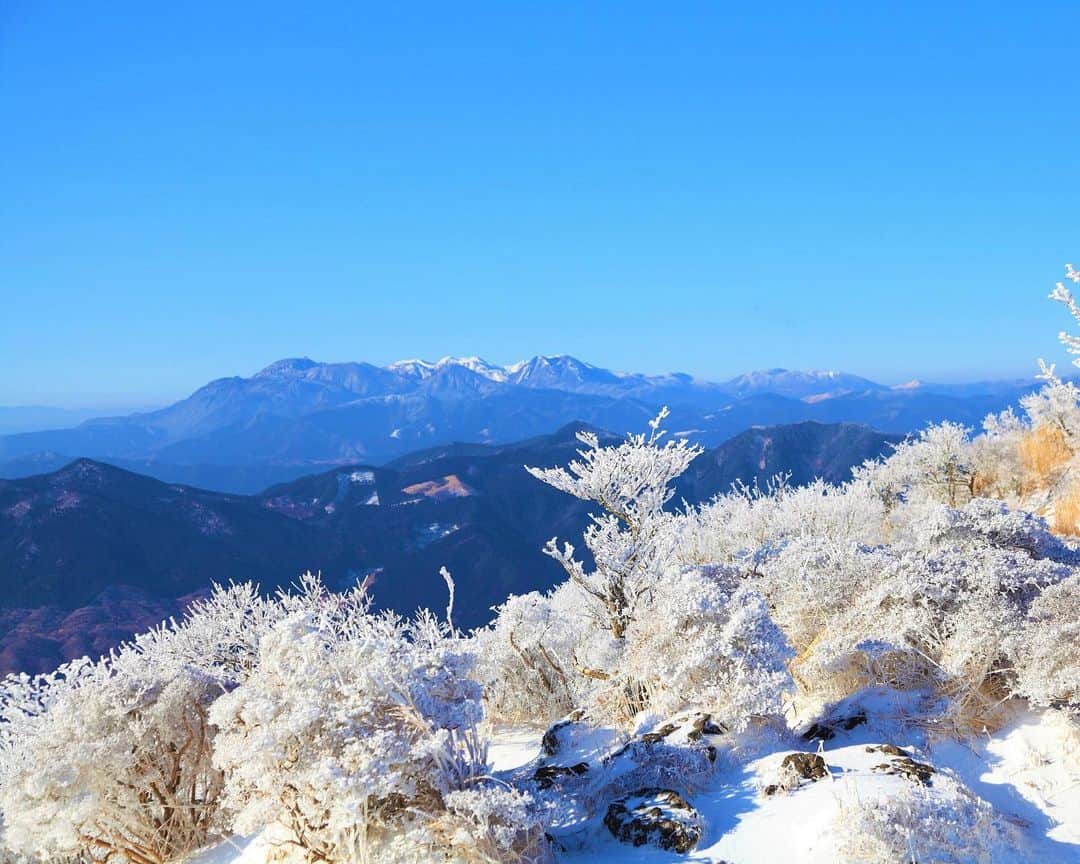 九州電力さんのインスタグラム写真 - (九州電力Instagram)「❄️九州では珍しい霧氷の銀世界❄️ . 大分県別府市にある「鶴見岳」は、霧氷が山上一帯を覆う九州では珍しいスポットです🏔 12月上旬から3月中旬に、気温や風などの気象条件が揃うと、木々に氷の花が咲き神秘的な景色が広がります❄️ . ※写真は別府ロープウェイ様よりご提供いただいたものです。 ※写真は過去に撮影されたものです。 ※最新情報はホームページをご確認ください。 . 気兼ねなくお出かけできる日が来るまで、お届けする九州の風景が、皆さまの元気や癒しになれば幸いです🍀 九電グループでは、「あしたプロジェクト～あしたを、しんじて、たすけあおう～」を展開しています。詳しくは、HPをご覧ください✨ . #九州電力 #大分 #別府市 #鶴見岳 #雪景色 #霧氷 #雪化粧 #銀世界」12月20日 17時00分 - kyuden_official