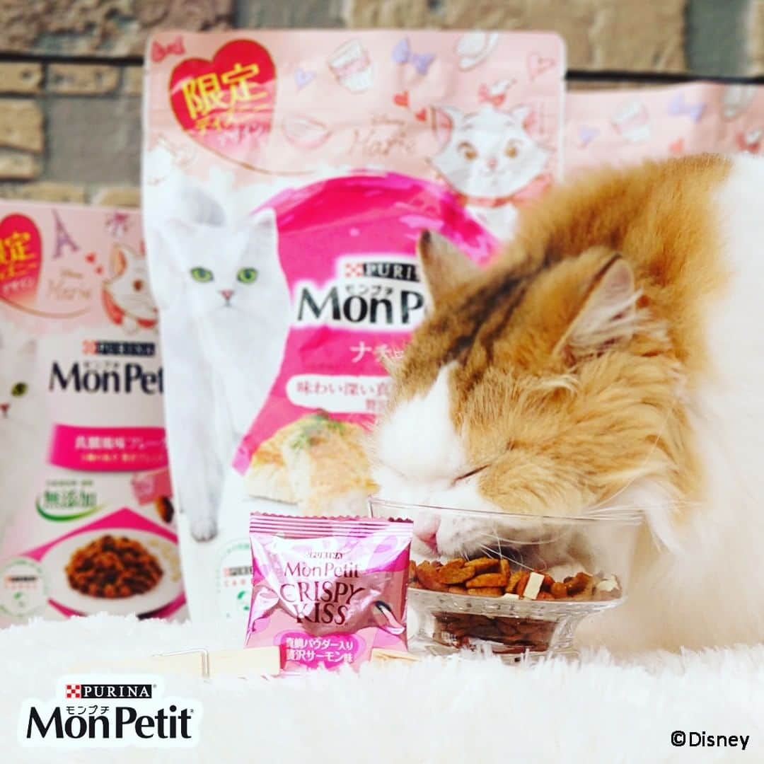 Purina Mon Petit Japanさんのインスタグラム写真 - (Purina Mon Petit JapanInstagram)「もう見つけましたか？ #モンプチ から #ディズニー #おしゃれキャット 「マリー」デザイン製品が発売中☺🎀  限定『ディズニー』デザインシリーズは全部で3種類🐈♡  ◆「モンプチ ドライ ナチュラル」味わい深い真鯛パウダー入り贅沢白身魚　  ◆「モンプチ ドライ (ボックス)」真鯛風味フレーク　5種の魚介 贅沢ブレンド　  ◆「モンプチ クリスピーキッス」真鯛パウダー入り 贅沢サーモン味  オシャレで可愛いマリーちゃんパッケージはもちろん、限定製品にしかない鯛を使ったフレーバーであなたのネコちゃんも特別なこの味わいをきっと喜んでくれるはず♪  ぜひ、お近くのホームセンター、スーパー、薬局、オンラインショップなどで見つけてくださいね。  詳しくはプロフィールの「モンプチ」公式HPからチェック♡」12月20日 17時54分 - monpetit_jp