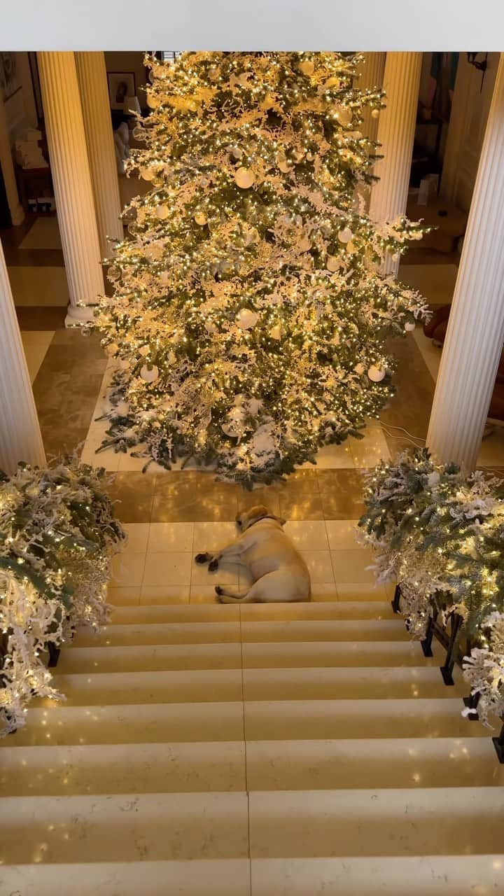 エレナ・ペルミノヴァのインスタグラム：「Sparkling magic by @kolibri_events ✨🎄」