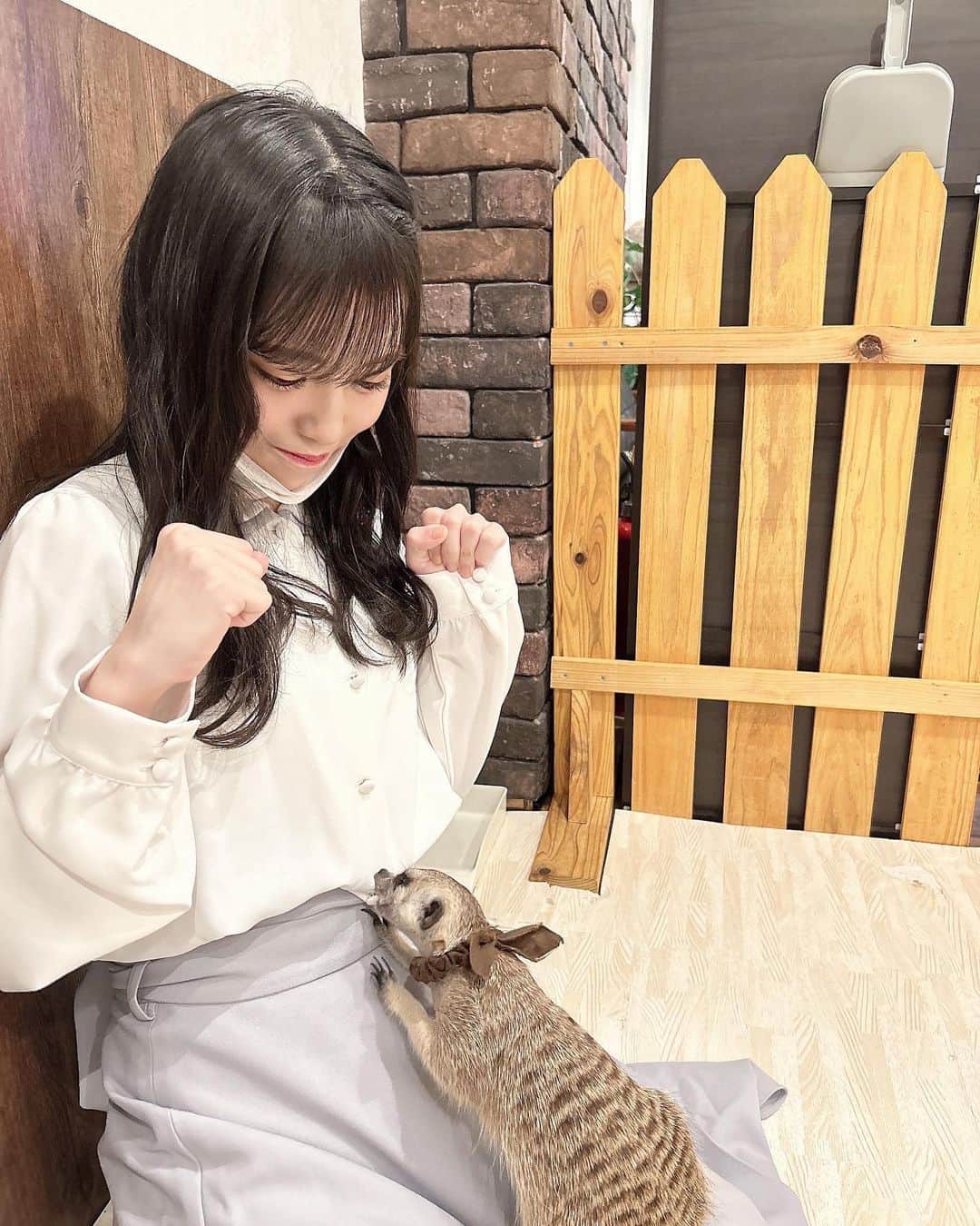 岩田陽菜のインスタグラム：「ミーアキャットとハリネズミと触れ合ったよ~ 🦔⸒  ミーアキャットちゃんとは初めての触れ合いだっけど可愛かった🤭」